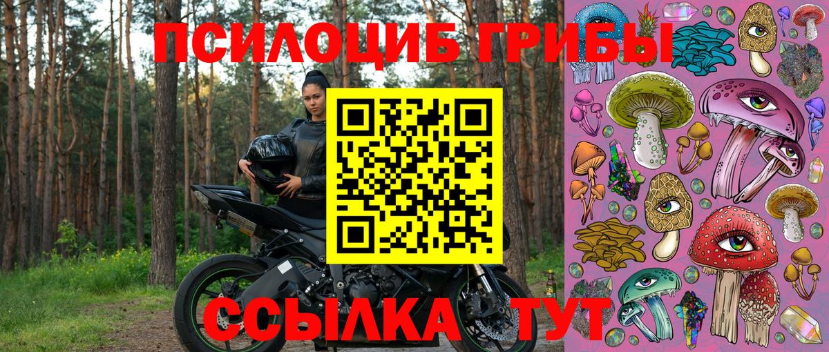 Псилоцибиновые грибы мицелий  Вход с VPN  Ртищево  Псилоцибиновые грибы мицелий 